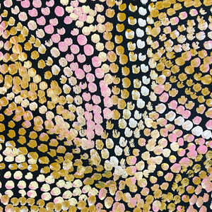 Kame (Pencil Yam Seed) by Judy Purvis Kngwarreye (SOLD)