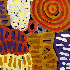 My Mother's Country by Betty Mbitjana | Stretched (SOLD)