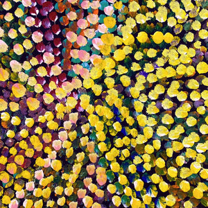 Kame (Pencil Yam Seed) by Judy Purvis Kngwarreye | Stretched (SOLD)