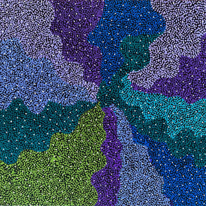 Bush Berries by Josepha Petrick Kemarre | STRETCHED (SOLD)