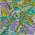Yam Flower by Dulcie Pwerle | Stretched (SOLD)
