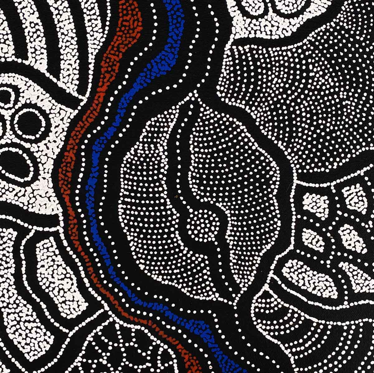 My Country by Delvine Petyarre | Stretched. Australian Aboriginal Art.