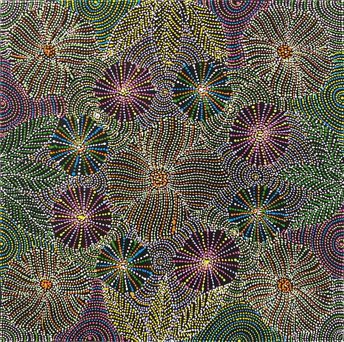 Nteny Ngkwarl by Susan Hunter | Stretched (SOLD)