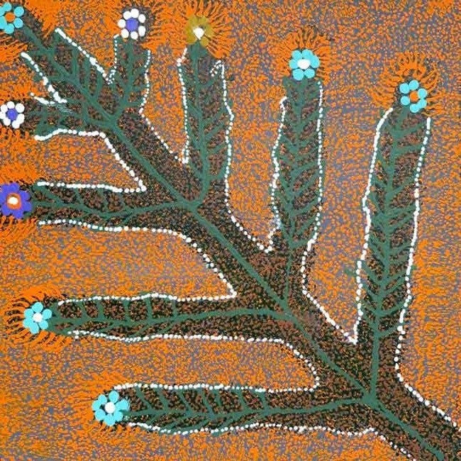 Sweet Honey Grevillea by Doreen Payne, 30cm x 30cm. Aboriginal Painting. #AboriginalArt #UtopiaLane