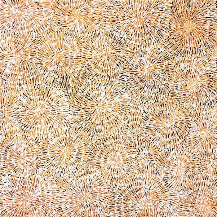 Ilyarnayt Flower by Audrey Morton Kngwarreye (SOLD)