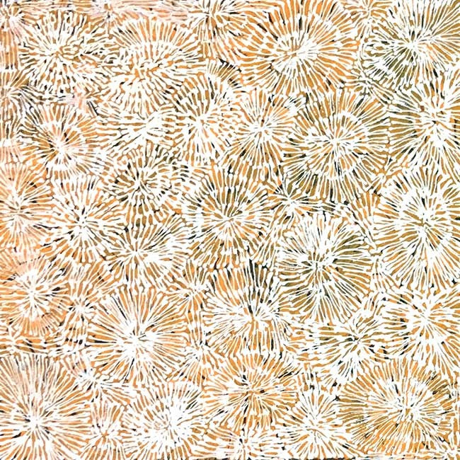 Ilyarnayt Flower by Audrey Morton Kngwarreye-by-Audrey Morton Kngwarrey-30cm x 30cm-at-Utopia-Lane-Gallery #AboriginalArt #Audrey Morton Kngwarrey