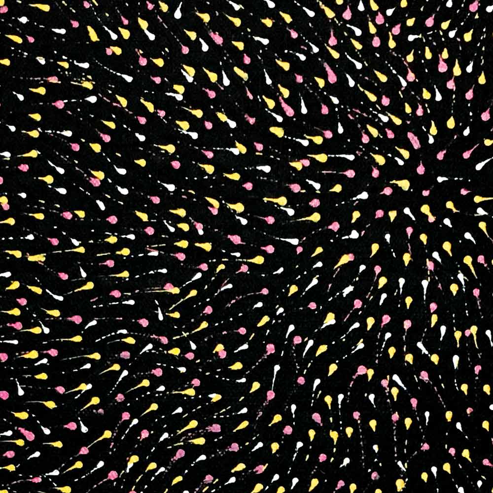 Pencil Yam Flower by Elizabeth Loy by Elizabeth Loy Kngwarreye, 30cm x 30cm. Australian Aboriginal Art.
