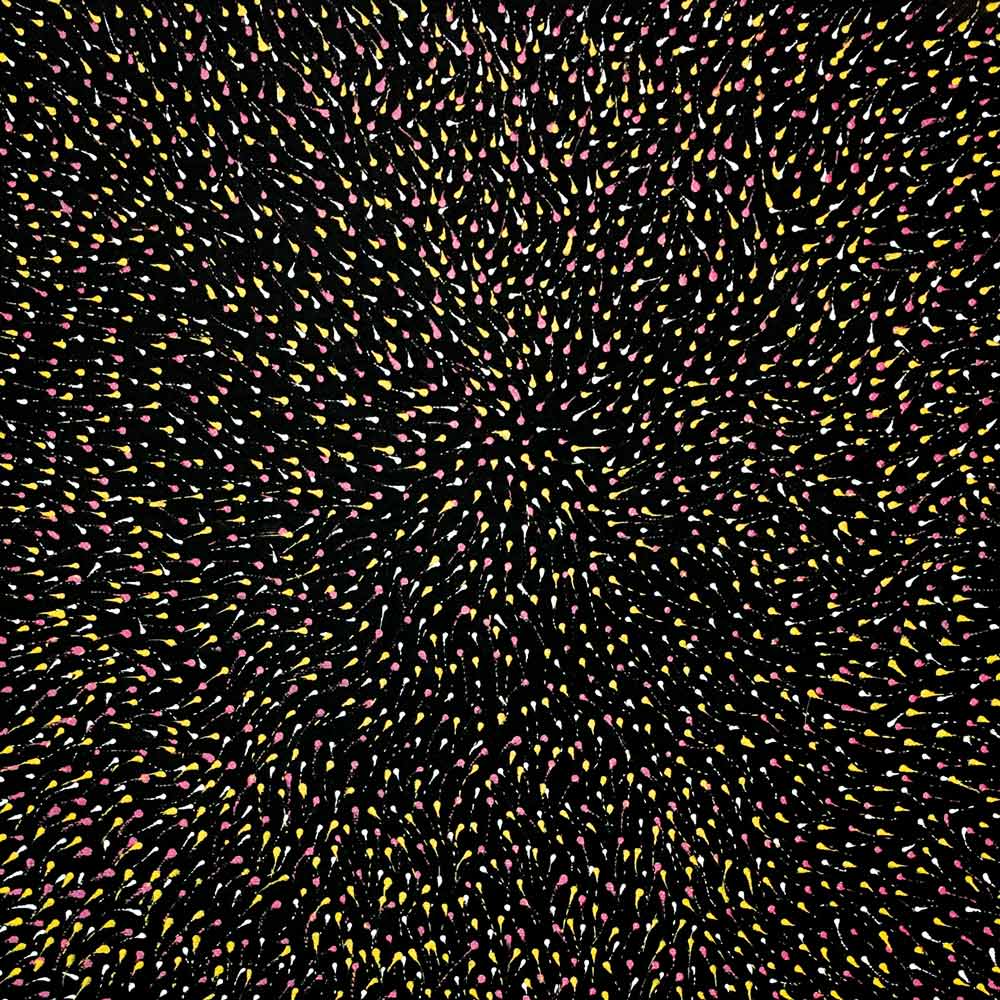 Pencil Yam Flower by Elizabeth Loy by Elizabeth Loy Kngwarreye, 30cm x 30cm. Australian Aboriginal Art.
