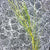 Bush Medicine (Artepwel) by Topsy Jones Pwerle (SOLD)