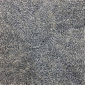 Wild Flowers by Sacha Long Petyarre by Sacha Long Petyarre, 90cm x 90cm. Australian Aboriginal Art.
