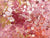 Anwekety (Conkerberry) by Polly Ngale (SOLD)