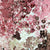 Anwekety (Conkerberry) by Polly Ngale (SOLD)