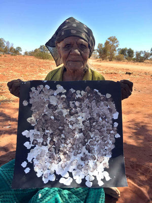 Anwekety (Conkerberry) by Polly Ngale (SOLD)