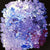 Anwekety (Conkerberry) by Polly Ngale (SOLD)