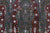 Dreamtime Sisters painting by Colleen Wallace Nungari. Australian Aboriginal Art.
