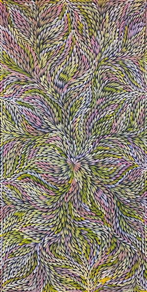 Bleistift Yamswurzelblume von Dulcie Pwerle Long (VERKAUFT)