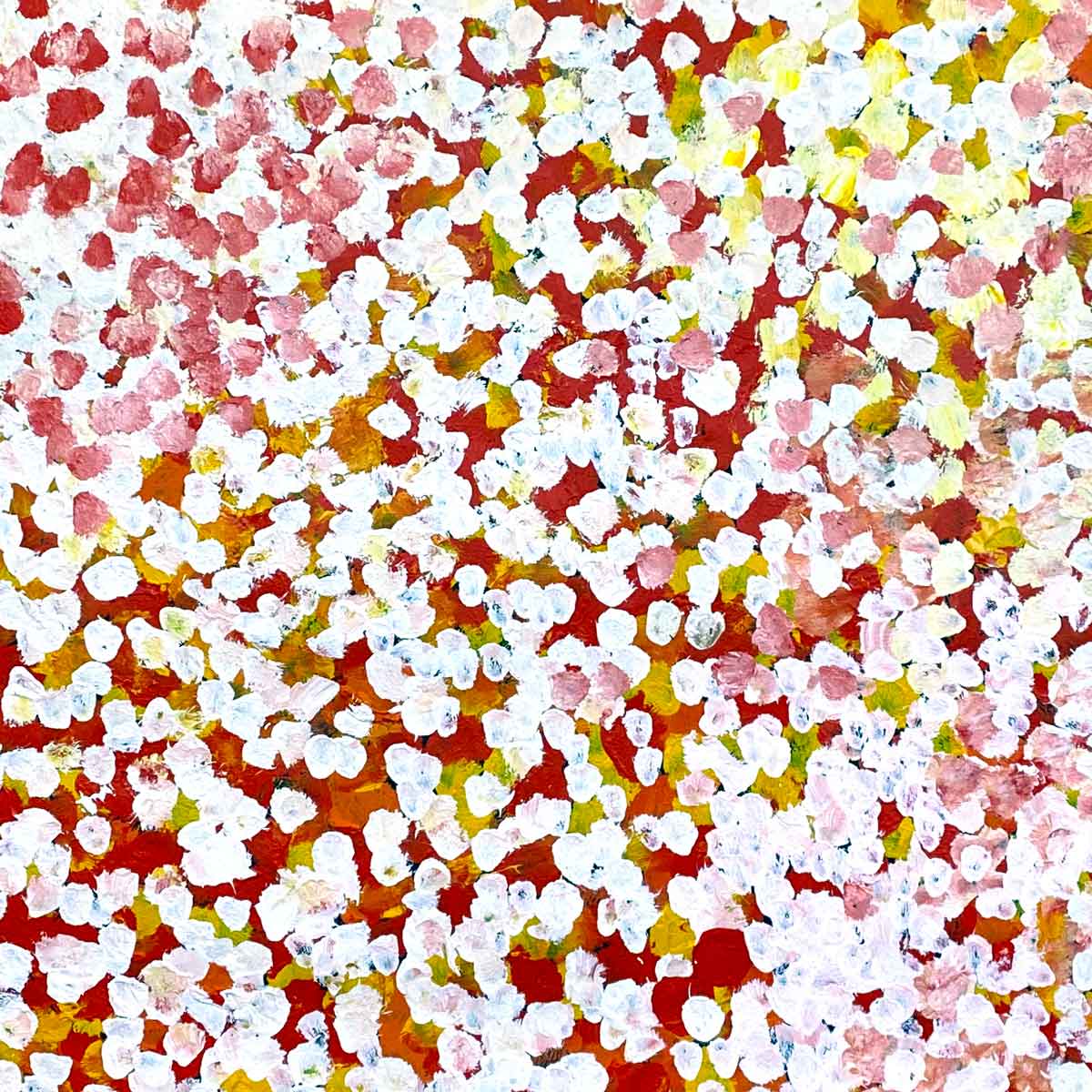 Anwekety (Conkerberry) by Polly Ngale. Australian Aboriginal Art.