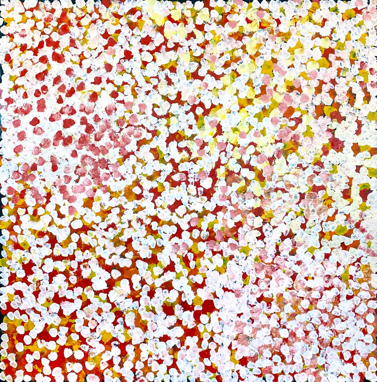 Anwekety (Conkerberry) by Polly Ngale. Australian Aboriginal Art.