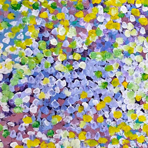 Anwekety (Conkerberry) by Polly Ngale (SOLD)