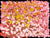 Anwekety (Conkerberry) by Polly Ngale. Australian Aboriginal Art.