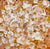 Anwekety (Conkerberry) by Polly Ngale (SOLD)