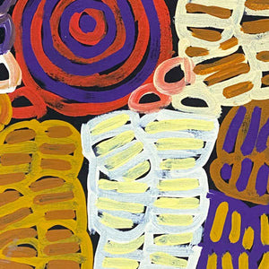 My Mother's Country by Betty Mbitjana (SOLD)