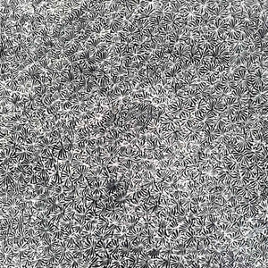 Alhepalh Flower by Audrey Morton Kngwarreye (SOLD)