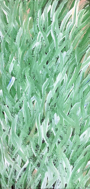 Grass Seed Dreaming by Barbara Weir | Stretched (SOLD)