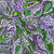 Yam Leaf by Dulcie Pwerle (SOLD)