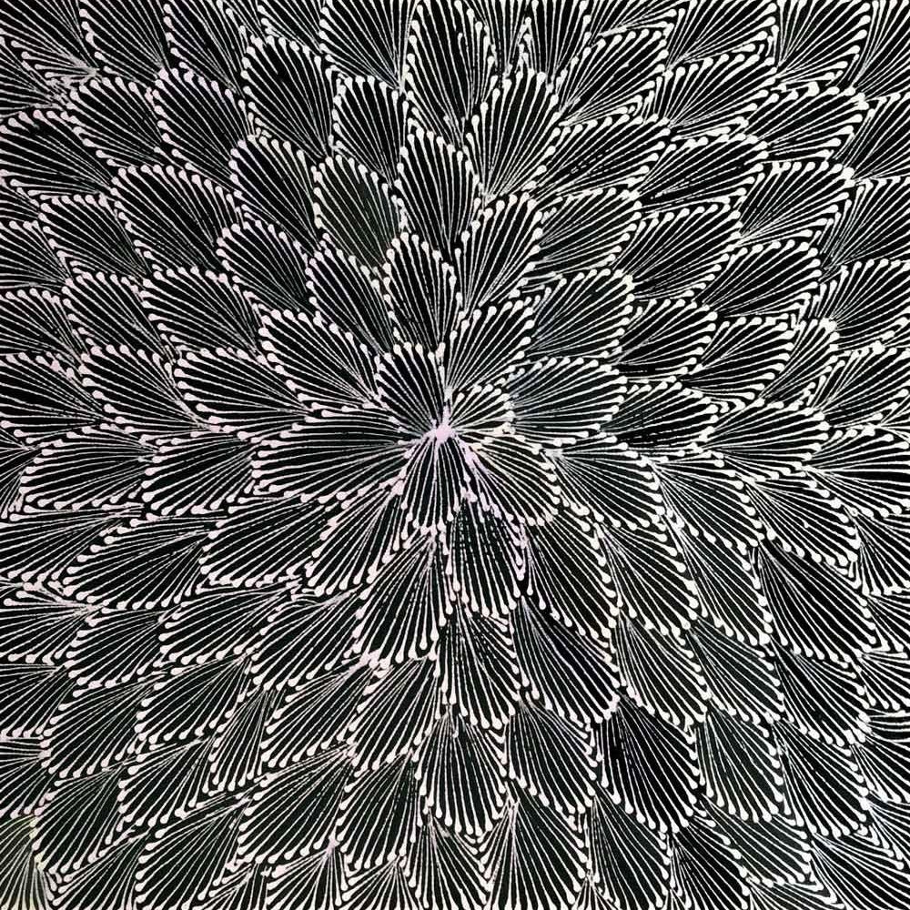 Tharrkarr (Honey Grevillea) by Loretta Jones Petyarr (SOLD), 30cm x 30cm. Aboriginal Painting. #AboriginalArt #UtopiaLane